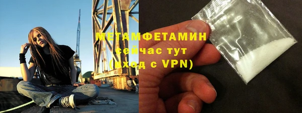 трава Осинники