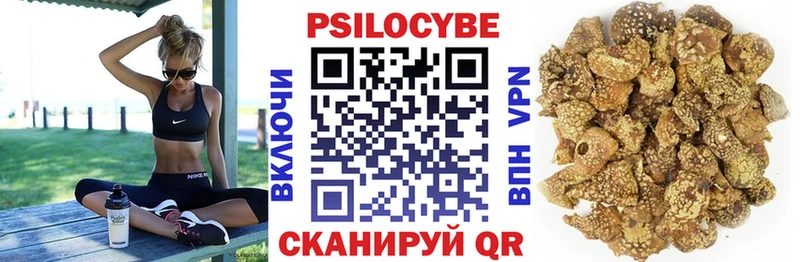 Псилоцибиновые грибы GOLDEN TEACHER  Ртищево 